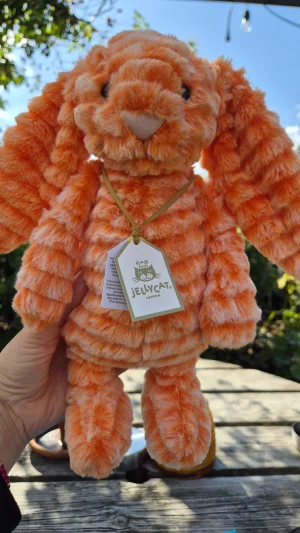 Fizzleskip Bunny Jellycat photo
