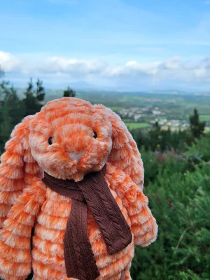 Front photo of Fizzleskip Bunny uploaded by Reenarooh