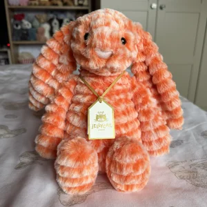 A photo of Fizzleskip Bunny Jellycat taken by Rach01