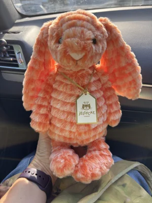 Fizzleskip Bunny Jellycat photo
