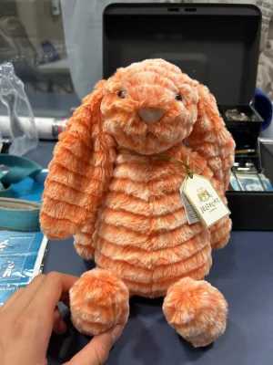 Fizzleskip Bunny Jellycat photo