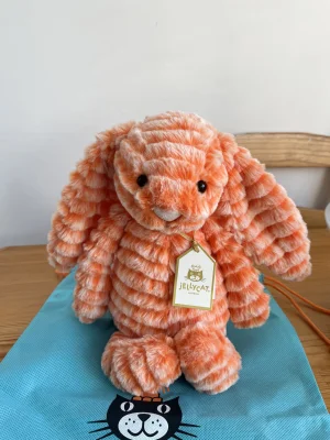Fizzleskip Bunny Jellycat photo