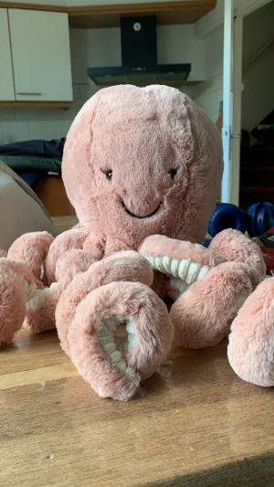 A photo of Odell Octopus - Large Jellycat taken by Joneiiiij
