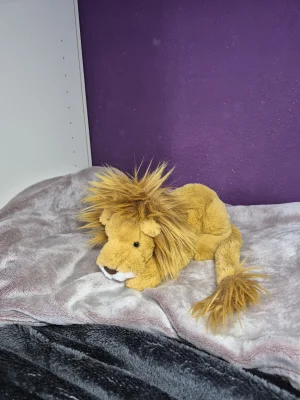 Louie Lion - Little Jellycat photo