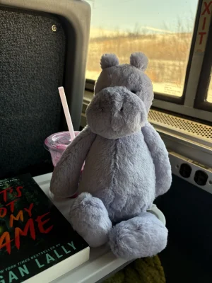 Bashful Hippo - Lilac Jellycat | Jelly Journal