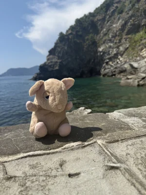 A photo of Cuddlebud Darcy Dormouse Jellycat taken by jesscurtisxo