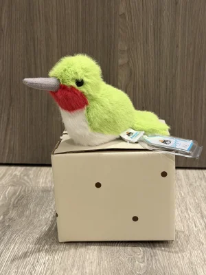 A photo of Birdling Hummingbird Jellycat taken by BunnyBPatt