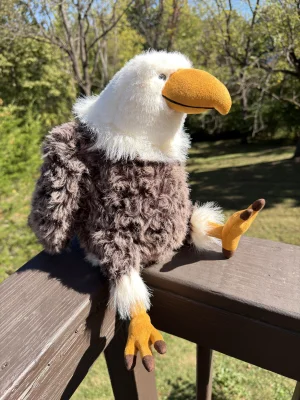 A photo of Algernon Eagle 🇺🇸 Jellycat taken by Saltedcoffee