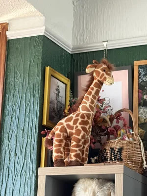 Dara Giraffe Jellycat photo