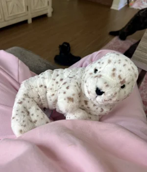 A photo of Sigmund Seal Jellycat taken by JodysJellies