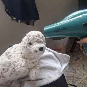 A photo of Sigmund Seal Jellycat taken by Branz_jellies