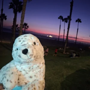 Sigmund Seal Jellycat photo