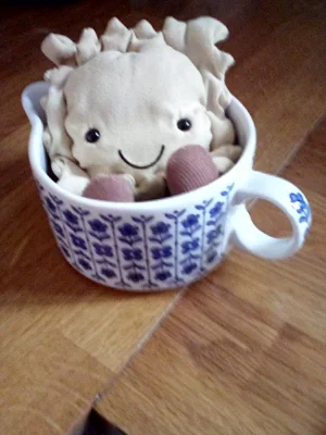 Amuseables Ravioli Jellycat photo uploaded by Jellycatamusabl