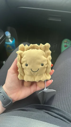 Amuseables Ravioli Jellycat photo uploaded by EmmaAnnexo