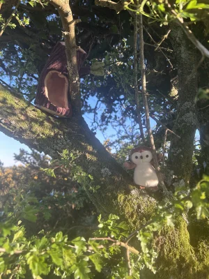 A photo of Forest Fauna Owl Jellycat taken by Harrisonny