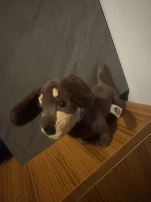 Otto Sausage Dog - Medium Jellycat photo uploaded by Stilley