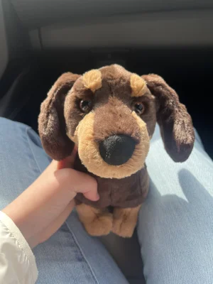 Otto Sausage Dog - Medium Jellycat photo