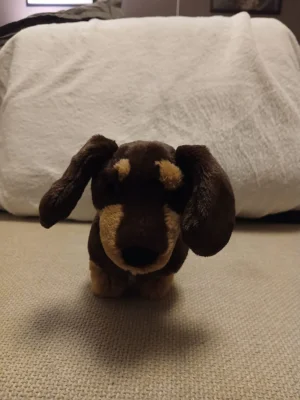 Otto Sausage Dog - Medium Jellycat photo