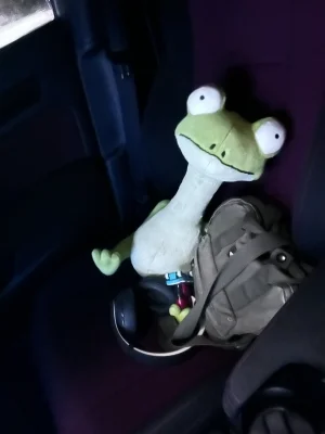 Caractacus Chameleon Jellycat | Jelly Journal
