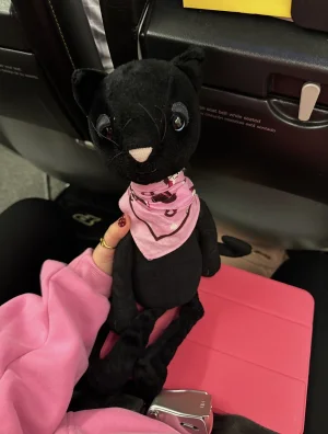 A photo of Glamorama Cat Jellycat taken by morgangreggg