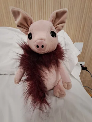 Glamorama Pig Jellycat | Jelly Journal