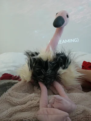 Ramonda Ostrich Jellycat photo