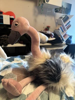 Ramonda Ostrich Jellycat photo uploaded by monki123