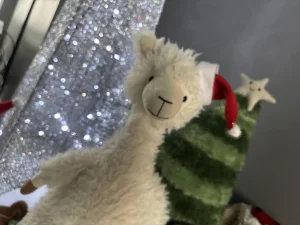 A photo of Alonso Alpaca Jellycat taken by Elsie Loves Jellycats