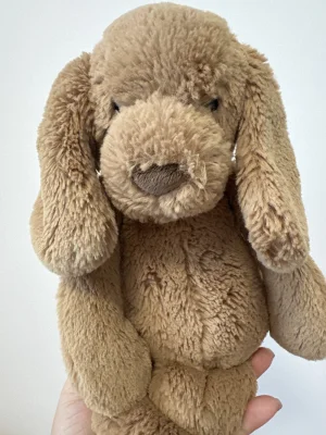Bashful Toffee Puppy - Medium Jellycat photo