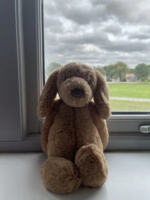 Bashful Toffee Puppy - Medium Jellycat photo