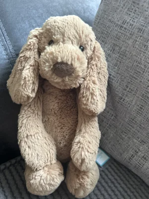 Bashful Toffee Puppy - Medium Jellycat | Jelly Journal