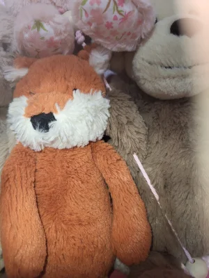 Bashful Fox Cub - Medium Jellycat photo