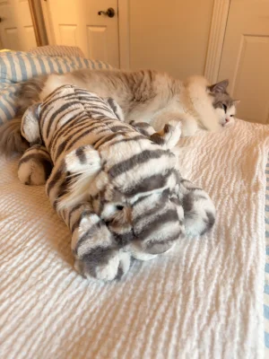 Sacha Snow Tiger - Large Jellycat photo