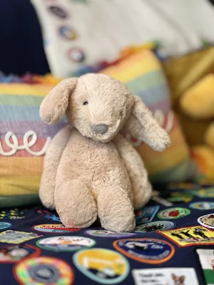 Bashful Luxe Puppy Orlando Jellycat photo uploaded by Megan_Daffodil