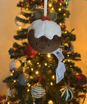 Festive Folly Christmas Pudding Jellycat photo uploaded by jellykitten