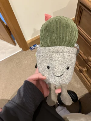 Amuseables Cactus Bag Jellycat | Jelly Journal