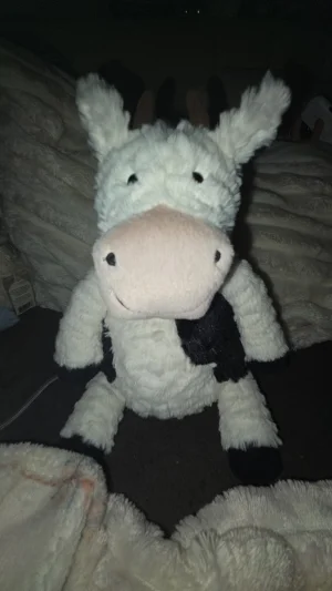 A photo of Mooliet Cow Jellycat taken by Jellylover24