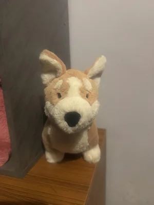 Betty Corgi Jellycat photo uploaded by Stilley