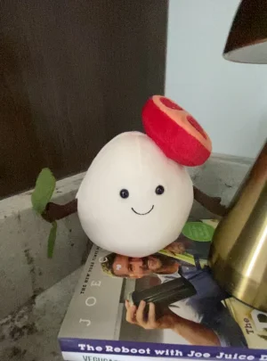 Amuseables Mozzarella Jellycat photo uploaded by PinkLotus2023