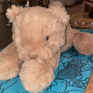 Smudge Bear - Medium Jellycat photo uploaded by Tiff