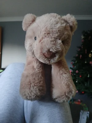 Smudge Bear - Medium Jellycat photo