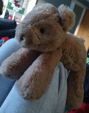 Smudge Bear - Medium Jellycat photo