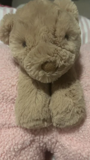 Smudge Bear - Medium Jellycat photo