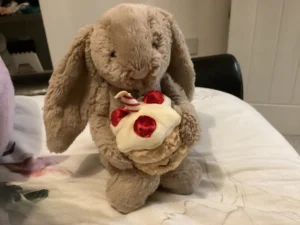 Bashful Beige Bunny 'Birthday' Jellycat photo