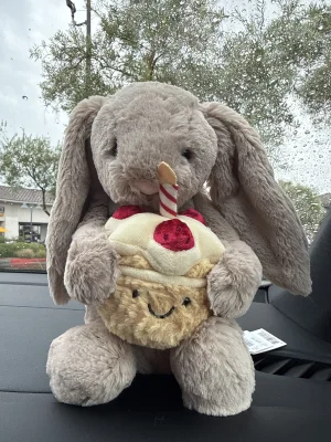 Bashful Beige Bunny 'Birthday' Jellycat | Jelly Journal