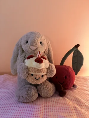 Bashful Beige Bunny 'Birthday' Jellycat | Jelly Journal