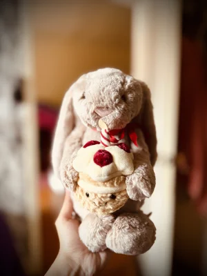 Bashful Beige Bunny 'Birthday' Jellycat | Jelly Journal