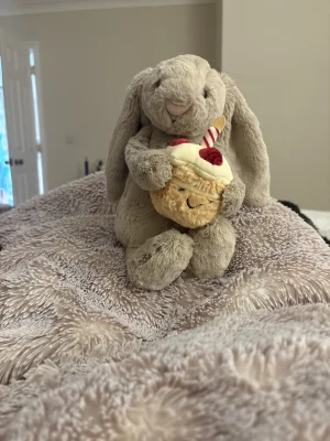 Bashful Beige Bunny 'Birthday' Jellycat | Jelly Journal
