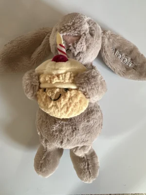 Bashful Beige Bunny 'Birthday' Jellycat | Jelly Journal