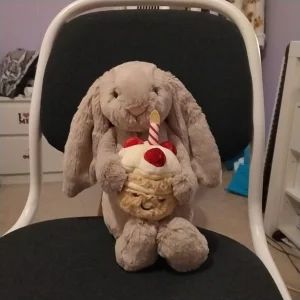 Bashful Beige Bunny 'Birthday' Jellycat | Jelly Journal